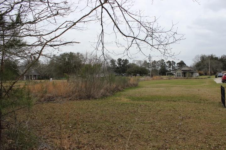 0 Bea's Nursery Road Hammond, LA 70403 - Photo 3 of 7 Gallery Image 3