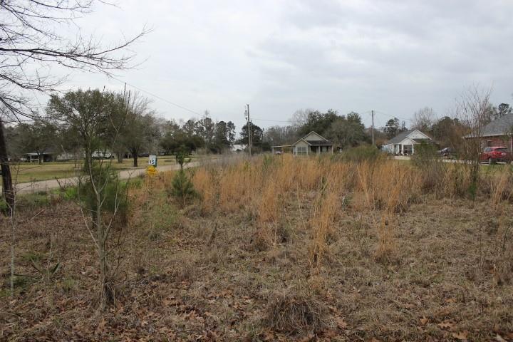 0 Bea's Nursery Road Hammond, LA 70403 - Photo 4 of 7 Gallery Image 4