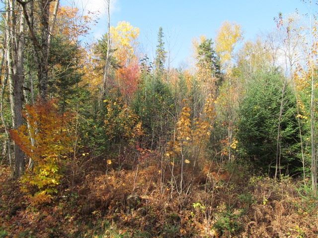 345 Oxbow Road Morgan, VT 05853 - Photo 27 of 30