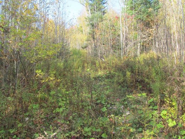 345 Oxbow Road Morgan, VT 05853 - Photo 28 of 30