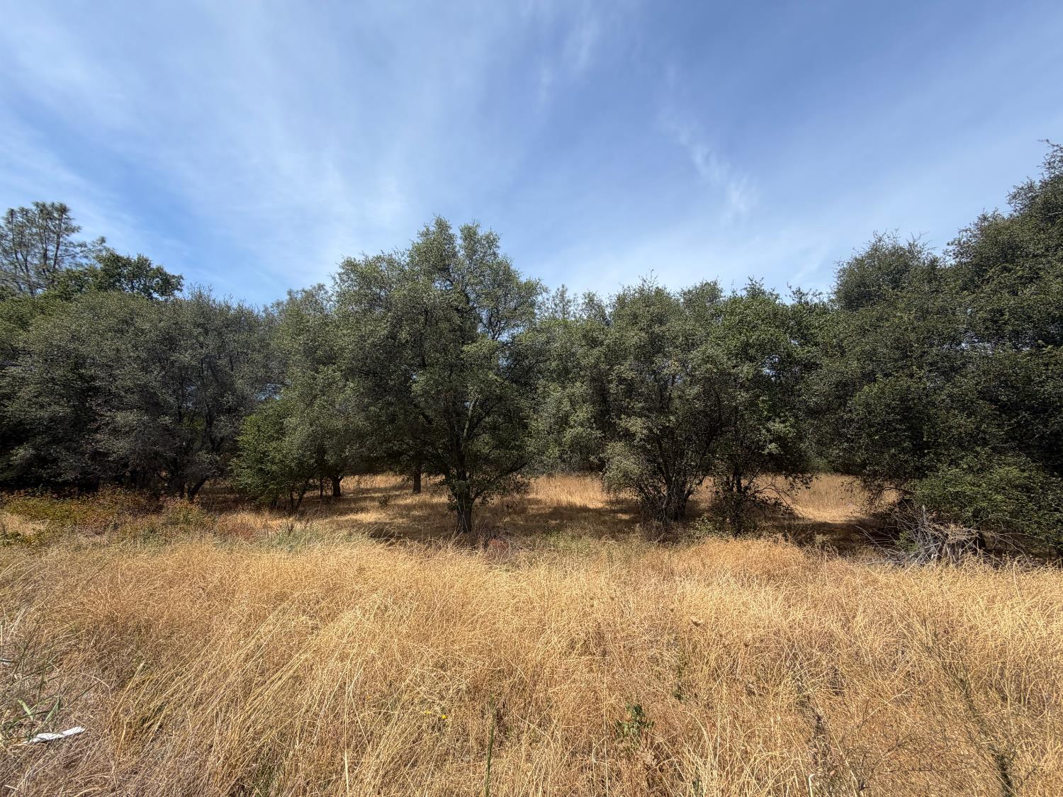 0 Horseshoe Bar Road Loomis, CA 95650 - Photo 1 of 3 Gallery Image 1