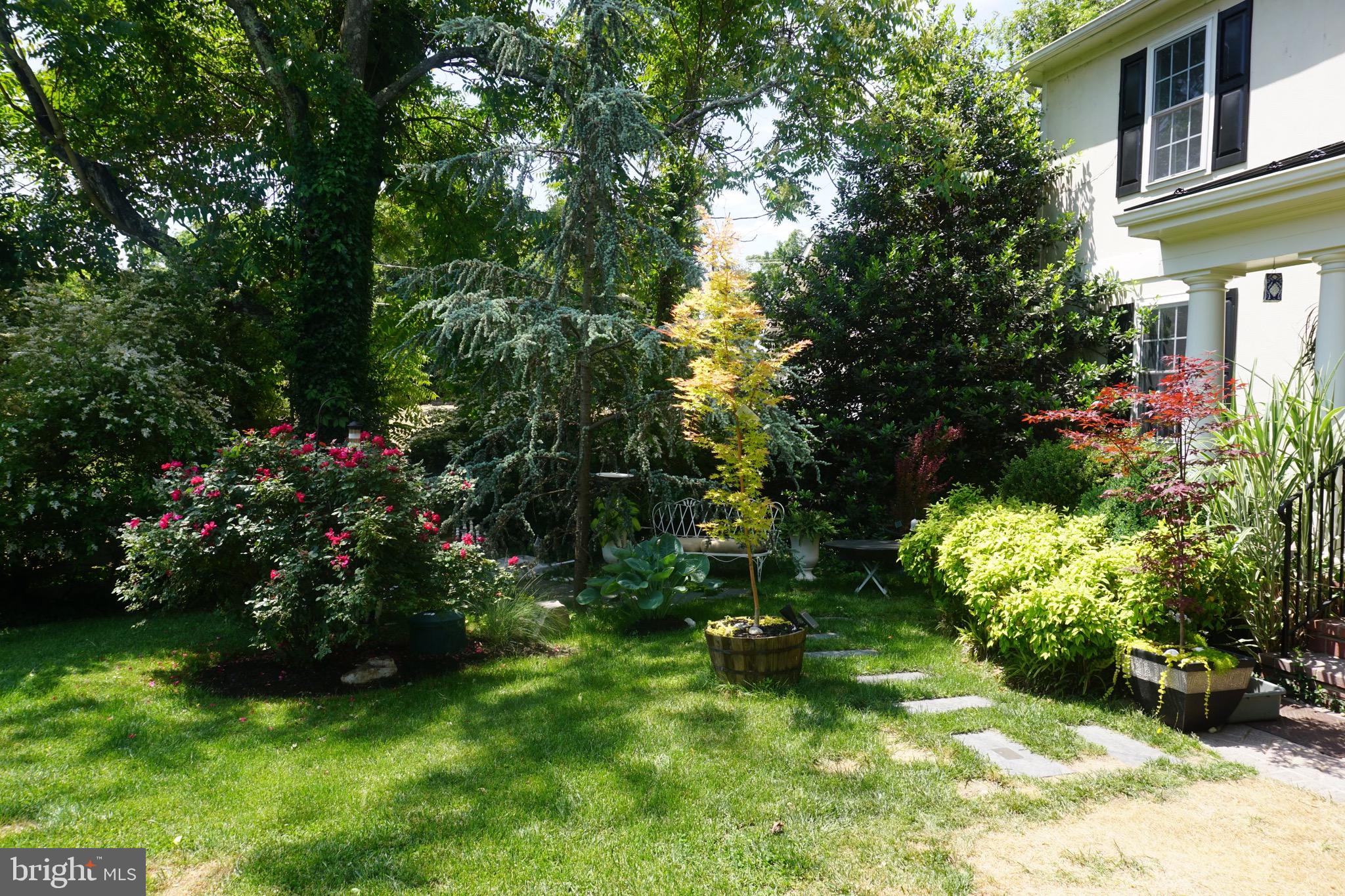 6224 Quander Road Alexandria, VA 22307 - Photo 6 of 63 Gallery Image 6