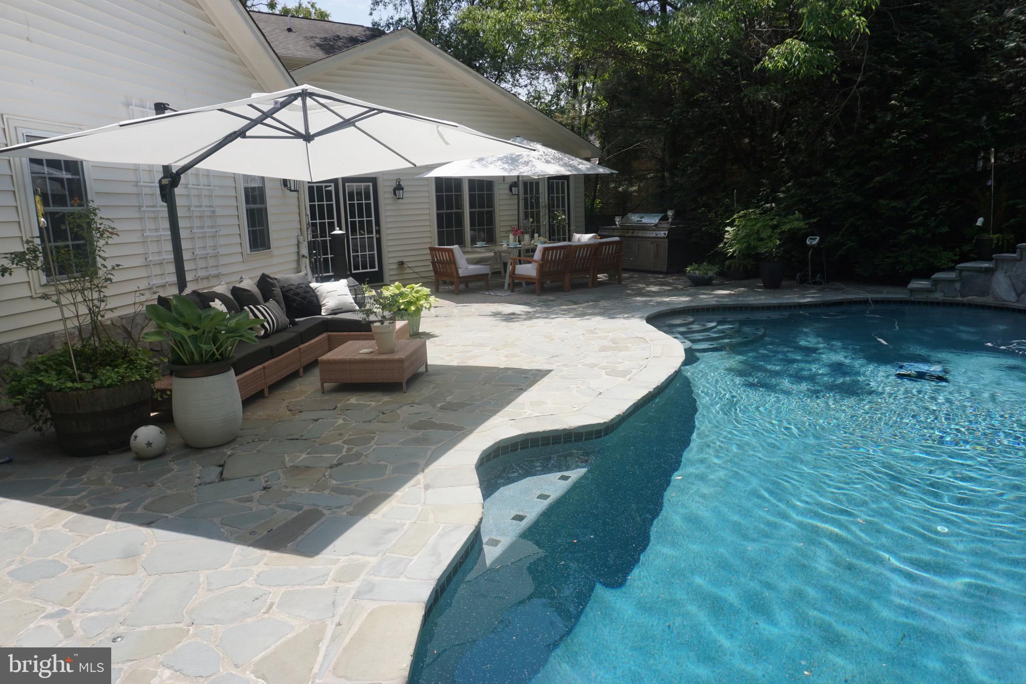 6224 Quander Road Alexandria, VA 22307 - Photo 8 of 63 Beautiful Salt Water Pool