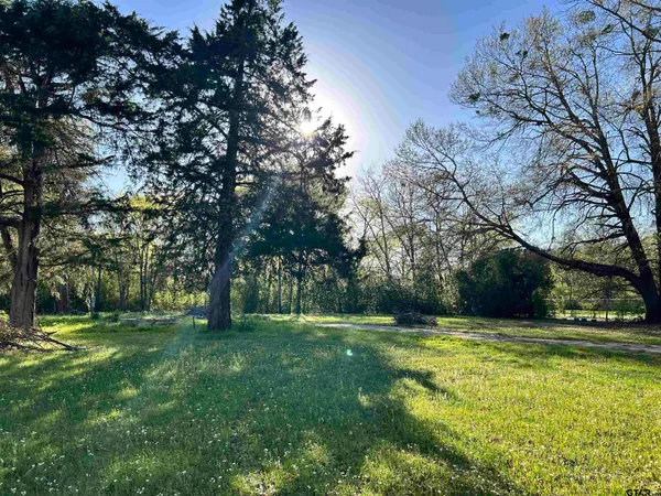 a view of a field with trees in the background