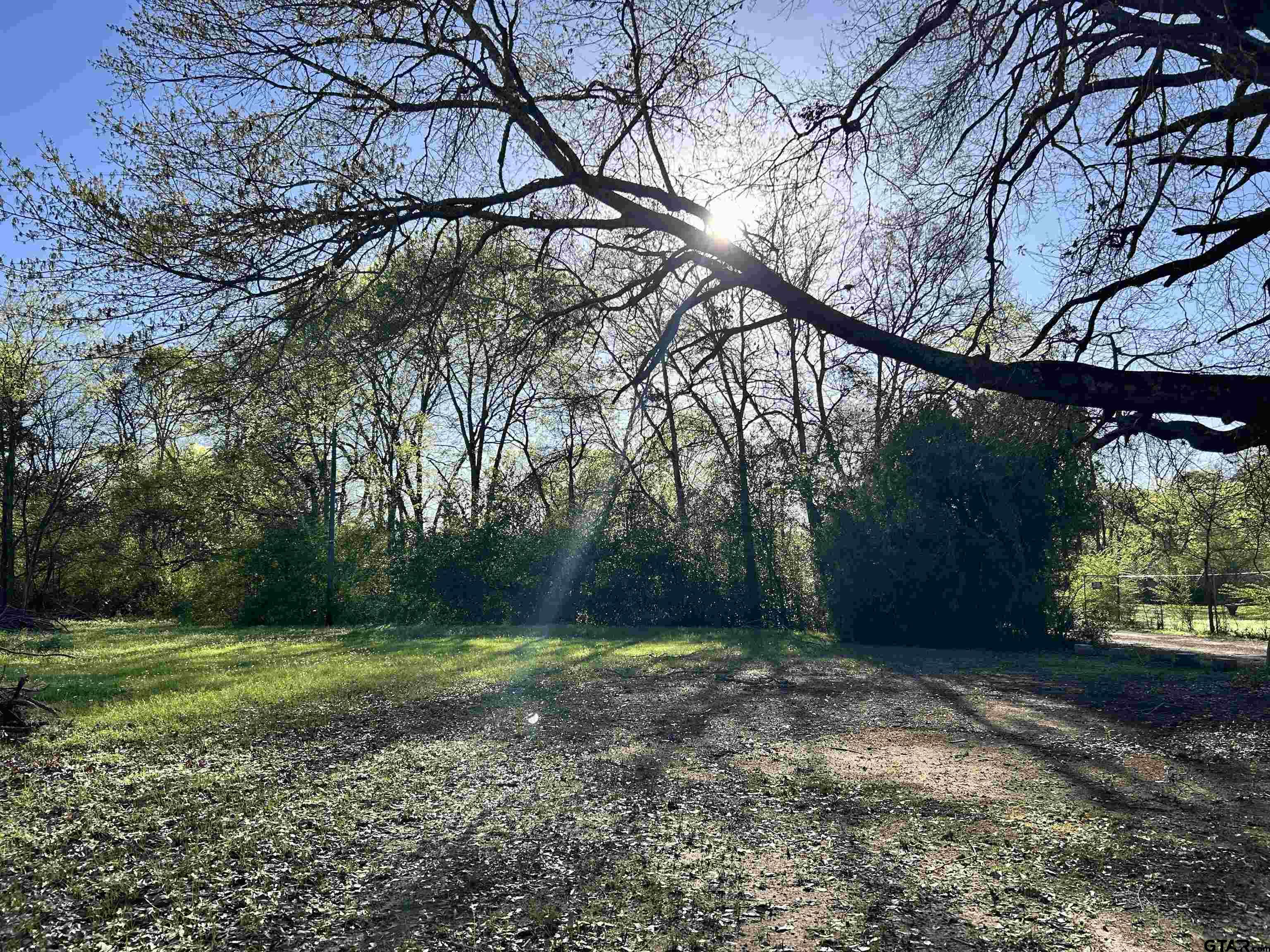 3108 Dudley Road Kilgore, TX 75662 - Photo 2 of 6 a backyard of a house with lots of green space