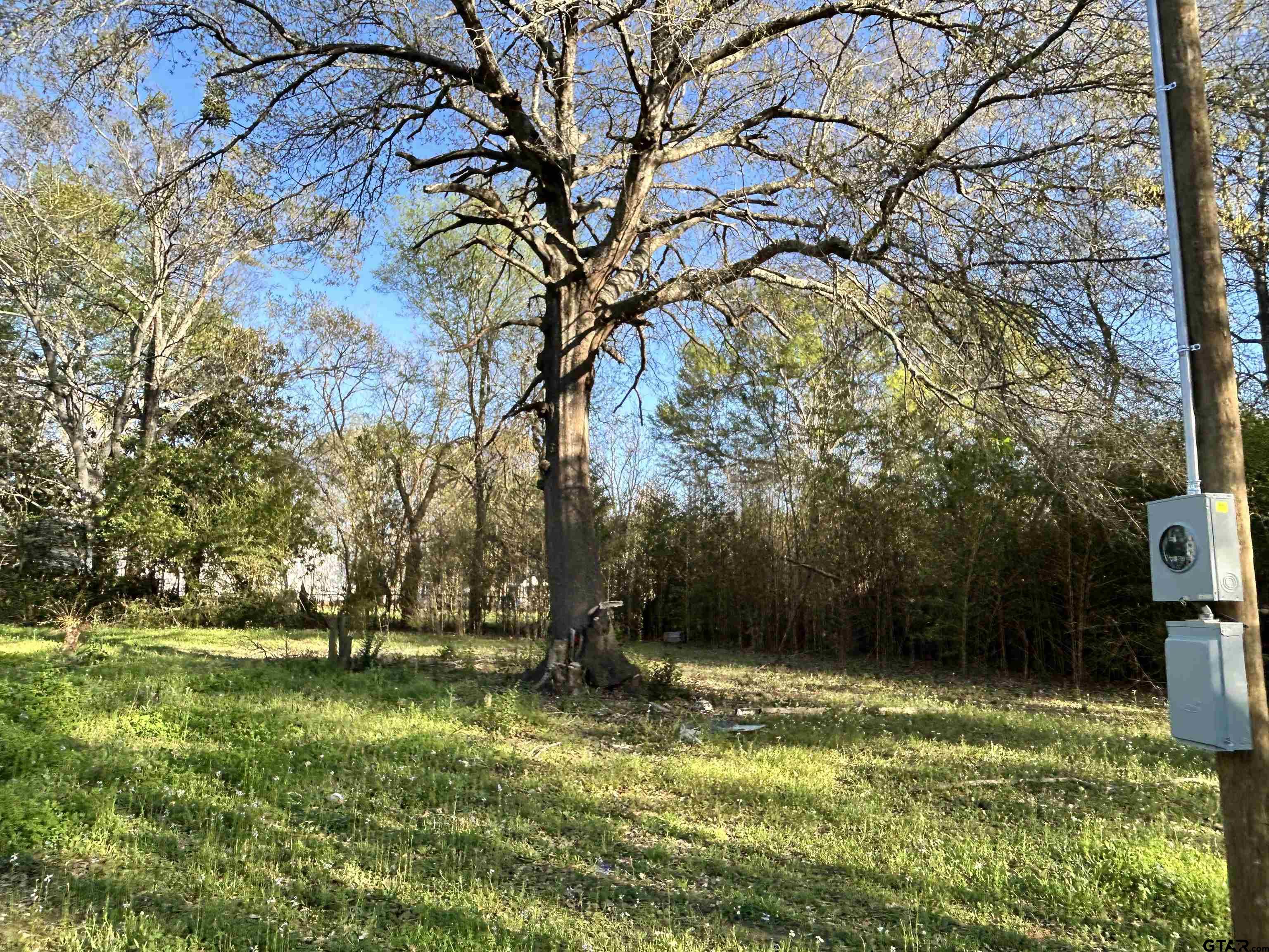 3108 Dudley Road Kilgore, TX 75662 - Photo 4 of 6 a backyard of a house with lots of green space