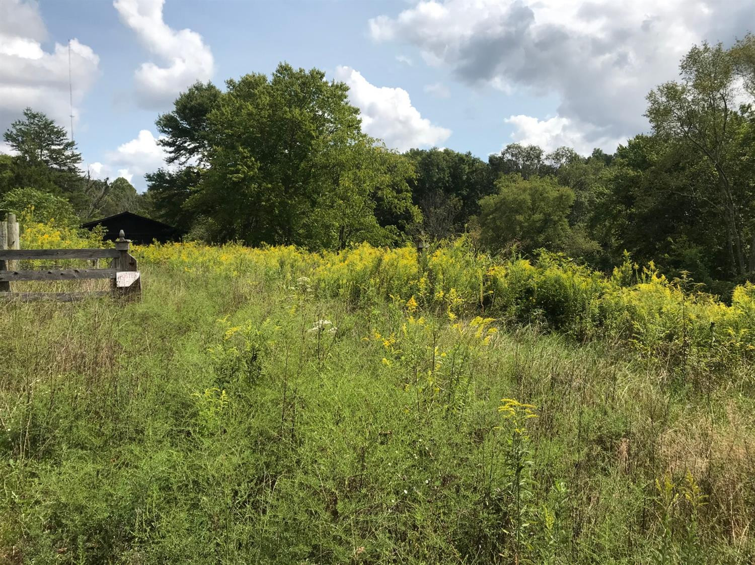 9999 Fence Road London, KY 40741 - Photo 6 of 12 Photo 6