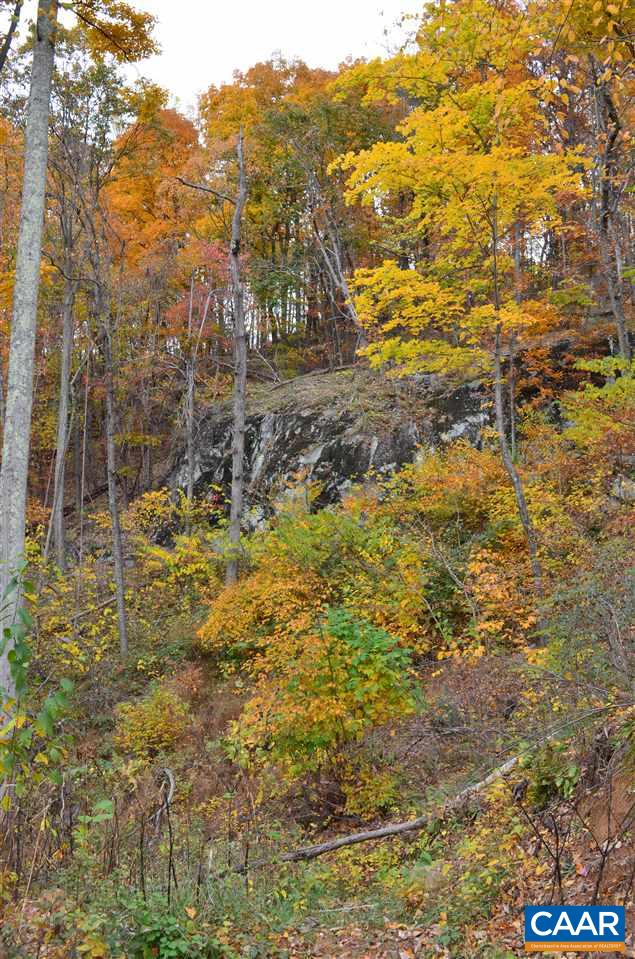 Ruth Road Madison, VA 22727 - Photo 21 of 26