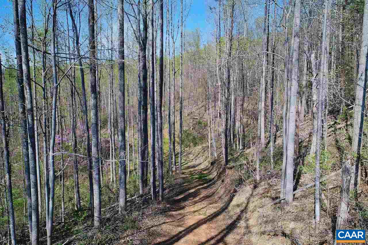 Ruth Road Madison, VA 22727 - Photo 7 of 26 a view of a backyard with trees