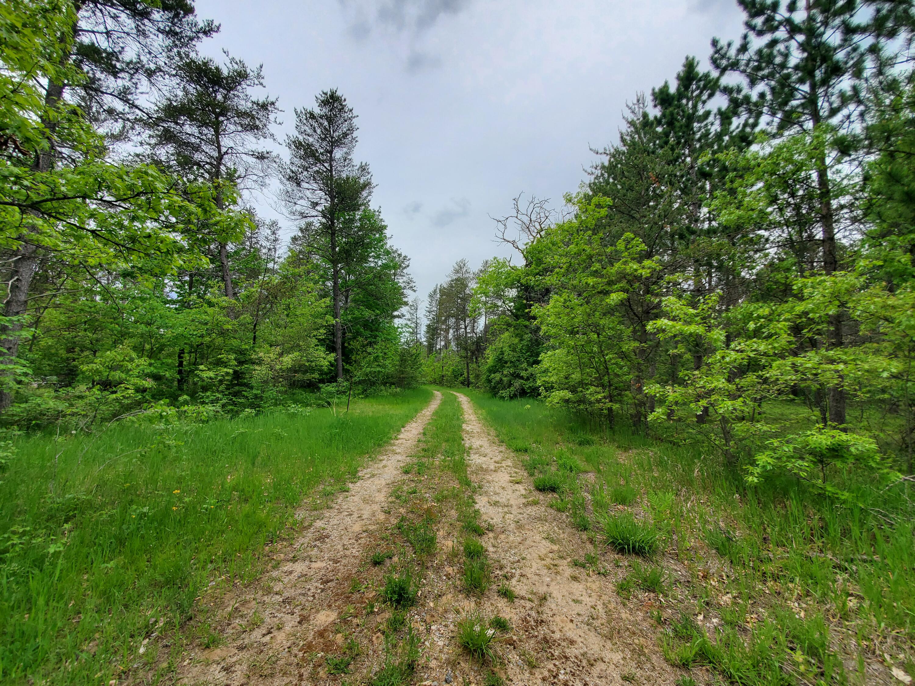 Winding Road Lewiston, MI 49756 - Photo 4 of 30 Gallery Image 4