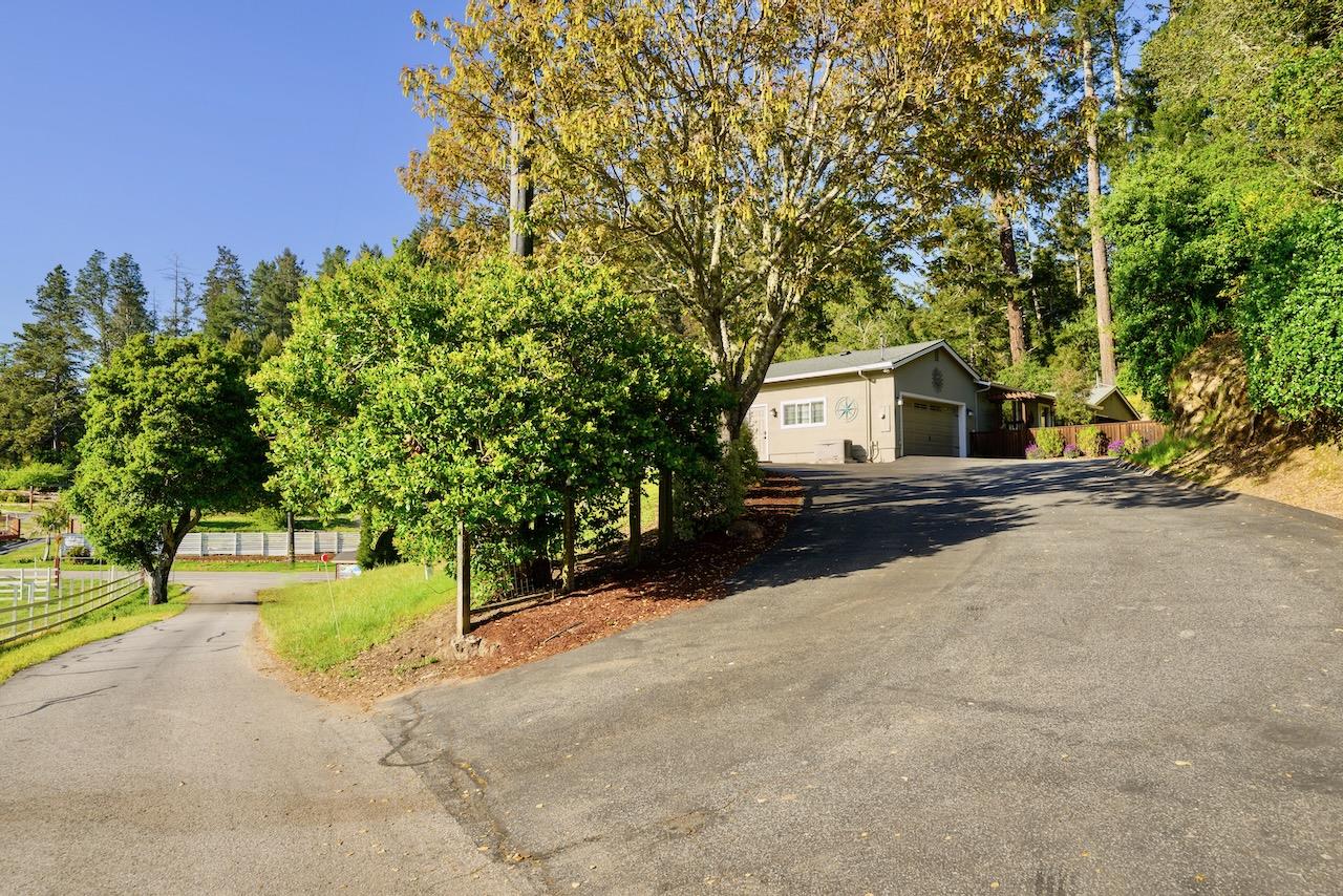145 Rabbits Run Road Santa Cruz, CA 95060 - Photo 6 of 120 a view of a house with a yard and tree s