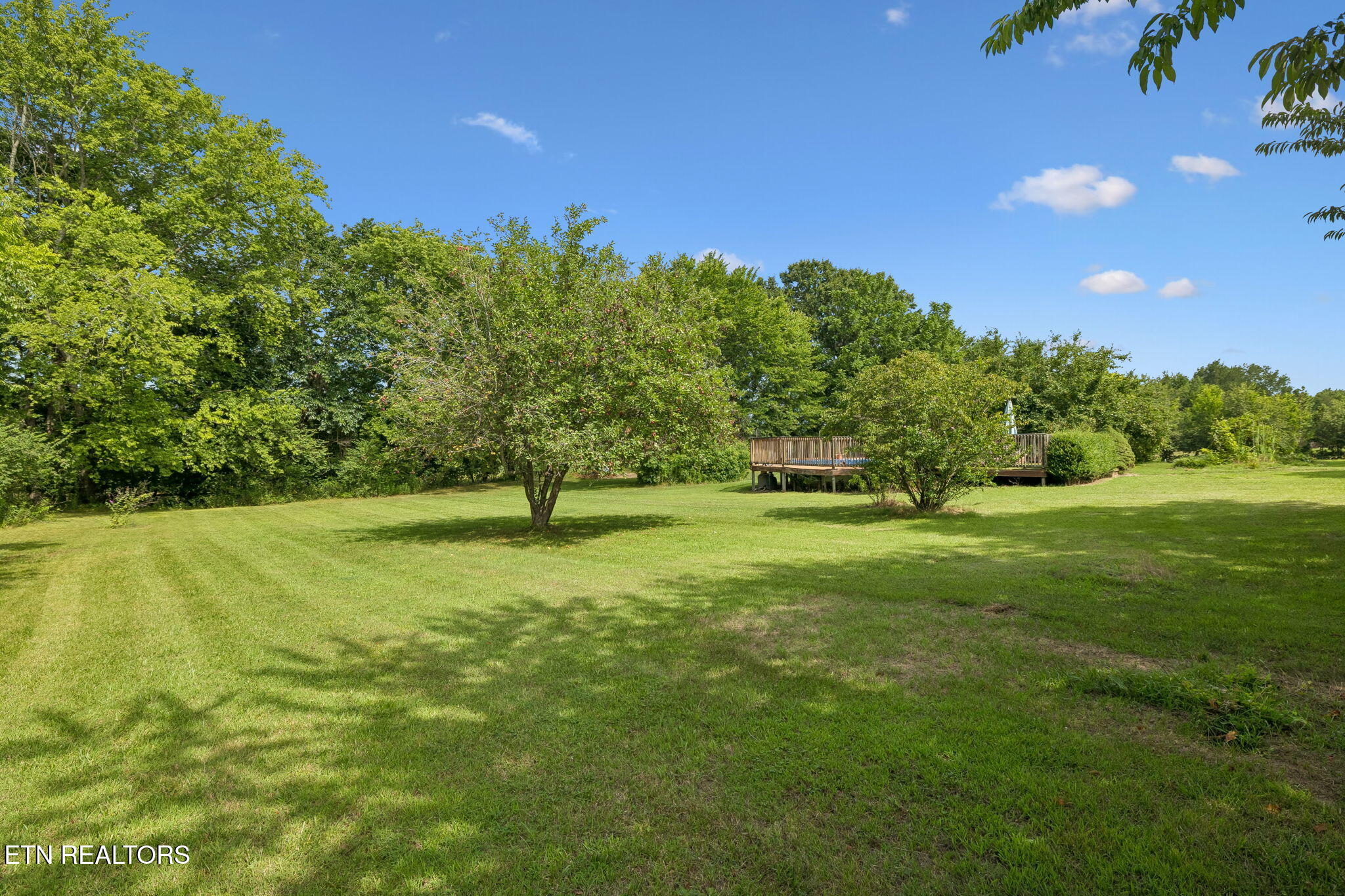 1422 Dove Lane Springfield, TN 37172 - Photo 33 of 53 41-1422 Dove Ln - 041