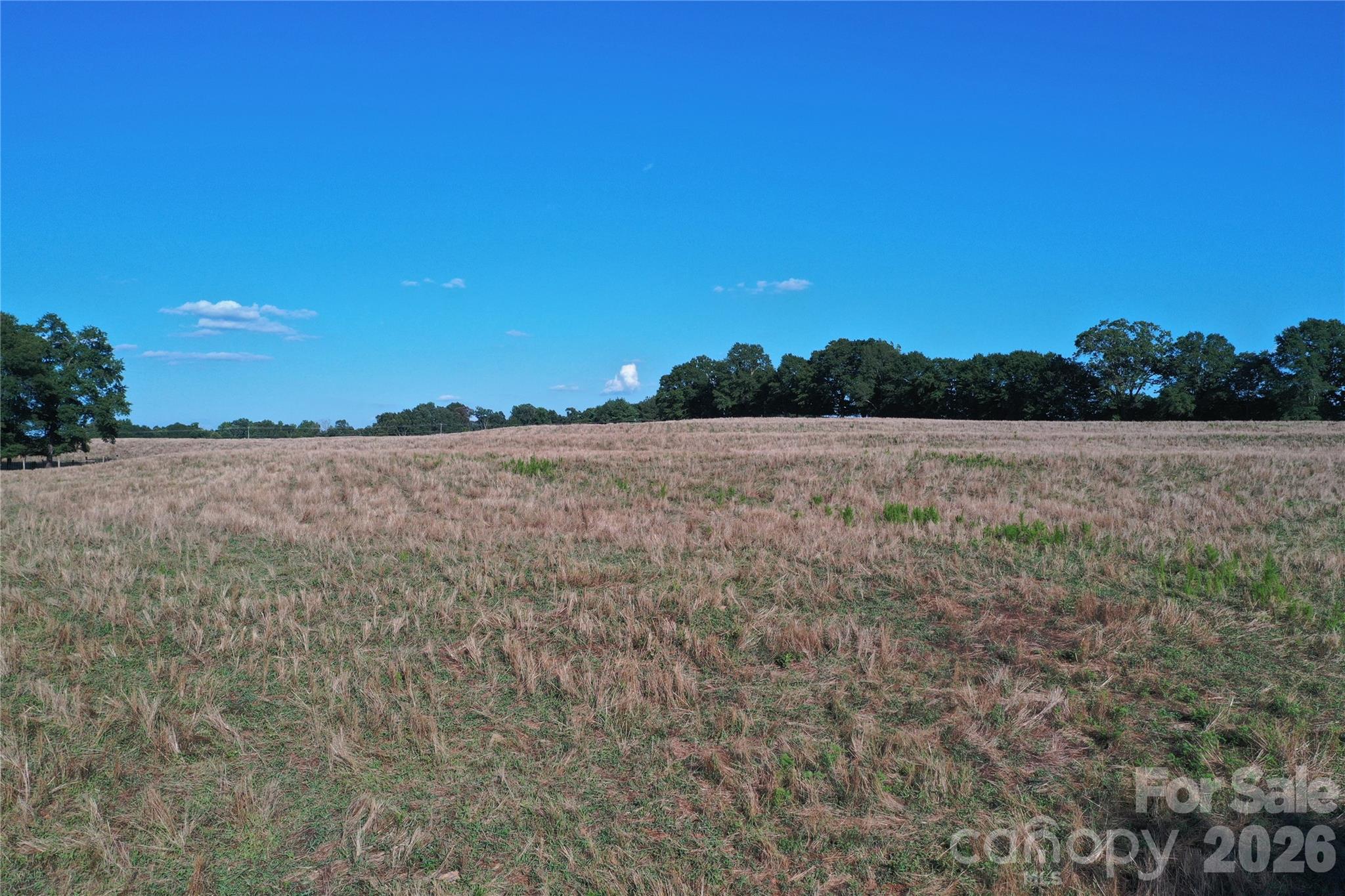 328 Sandy Run Church Road Mooresboro, NC 28114 - Photo 3 of 48