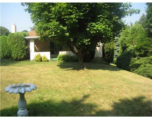 206 Ewing Road McKees Rocks, PA 15136 - Photo 4 of 8 Yard/Garden.