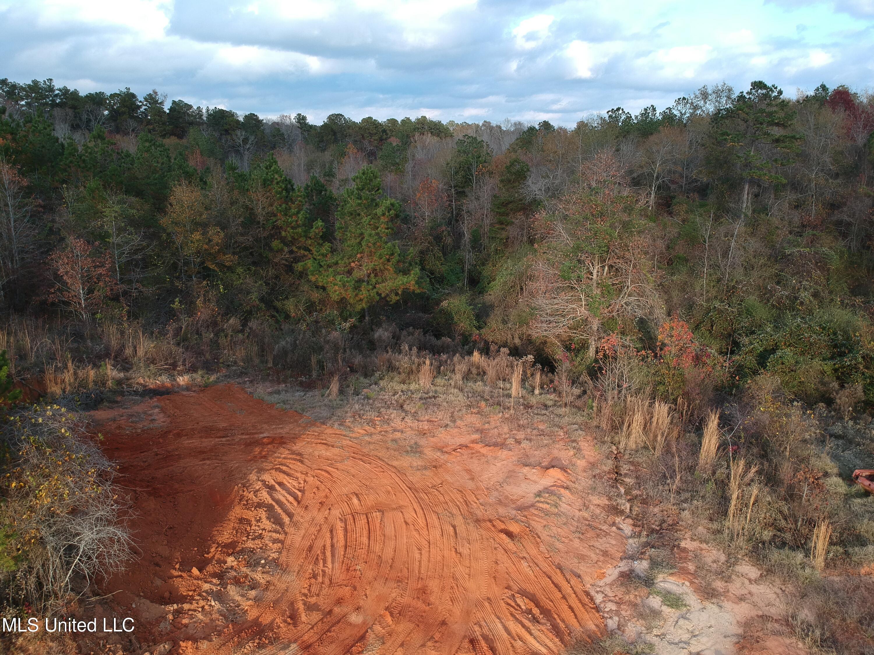 25380 Highway 35 Raleigh, MS 39153 - Photo 1 of 3 Land