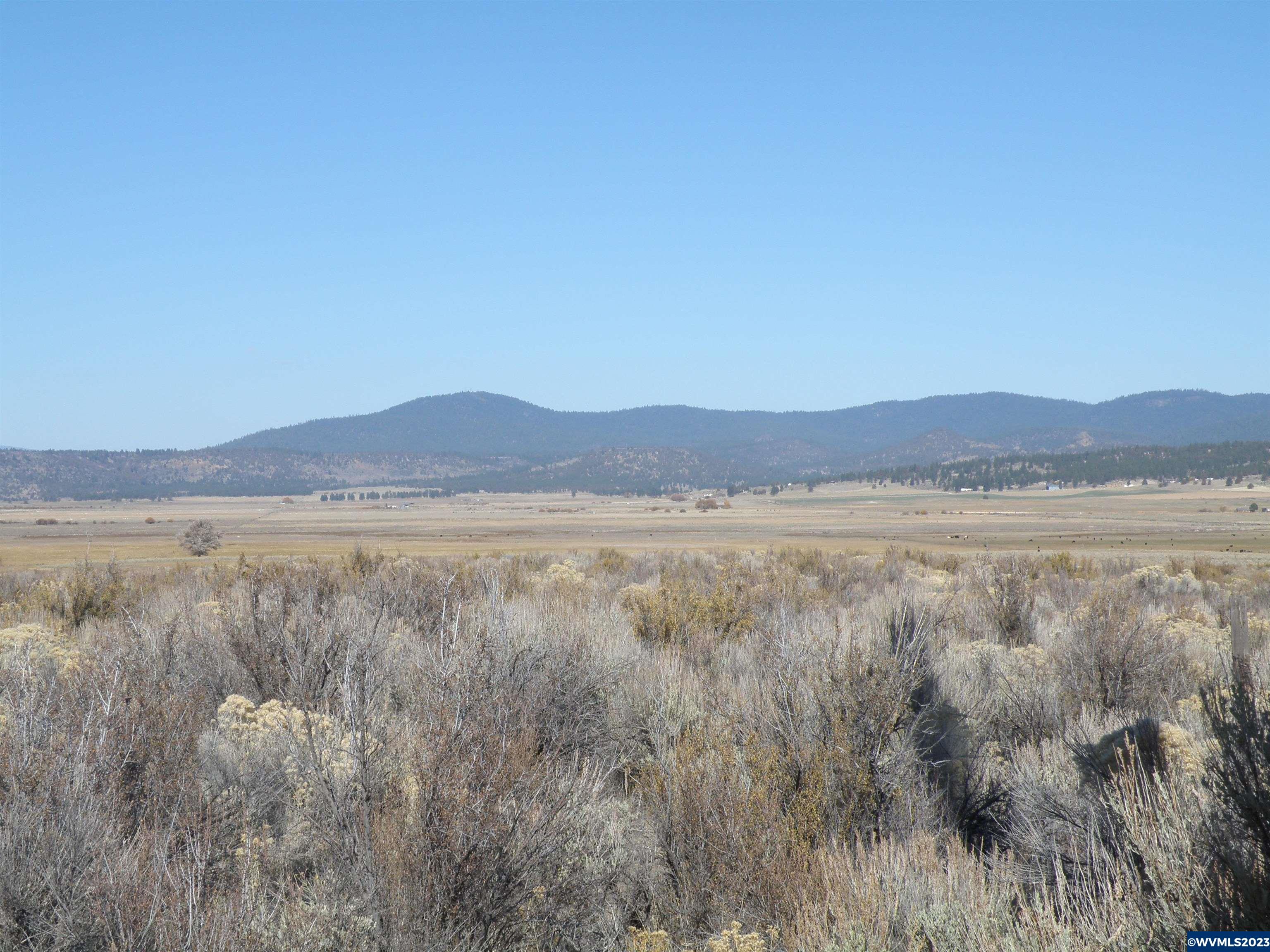 140 Grany Hoe Road Beatty, OR 97621 - Photo 2 of 9