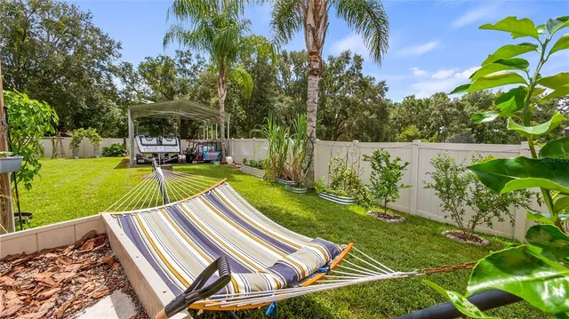 a backyard of a house with plants and large tree