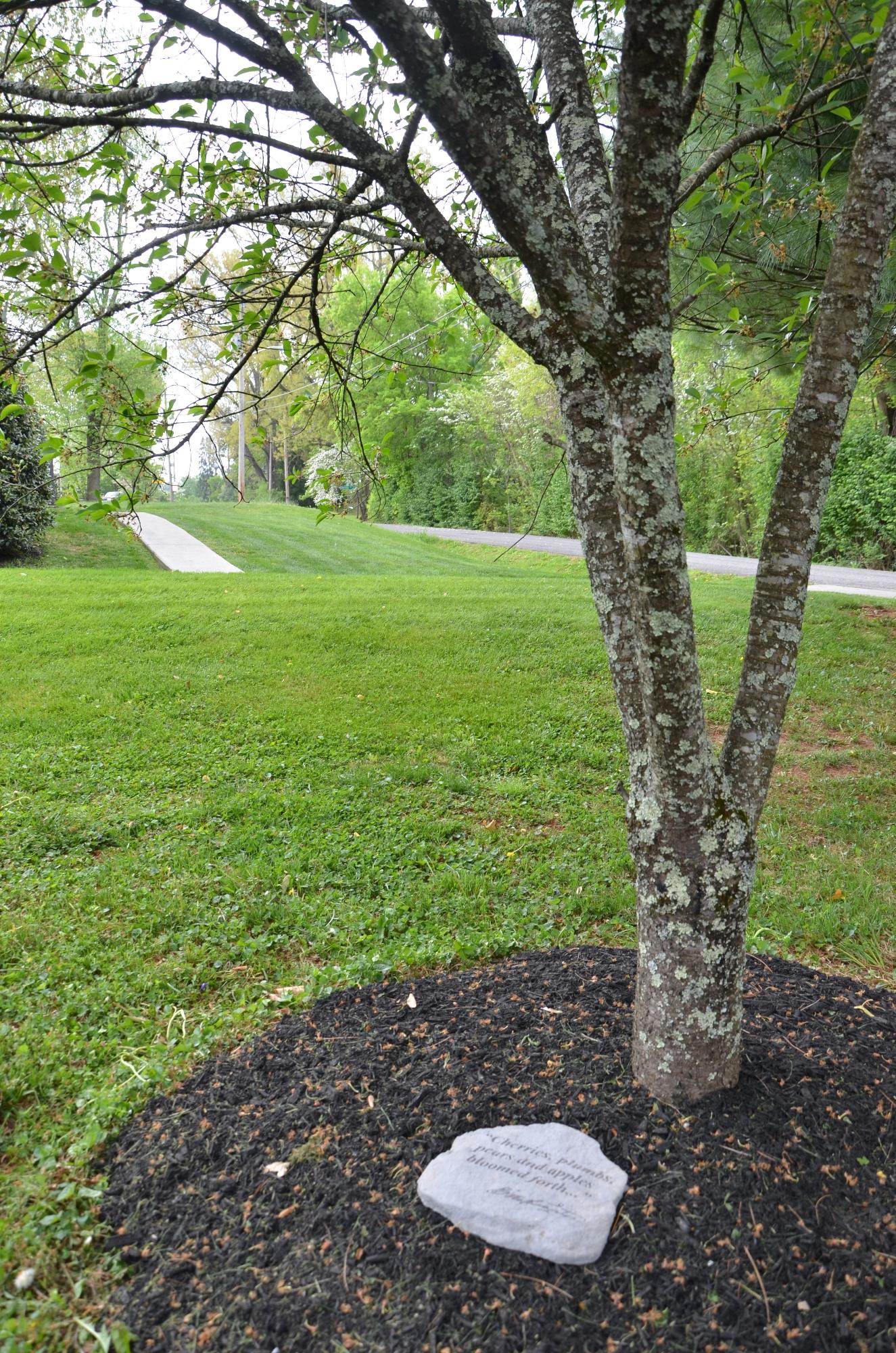 608 Busbee Road Knoxville, TN 37920 - Photo 2 of 26 Cherry Tree