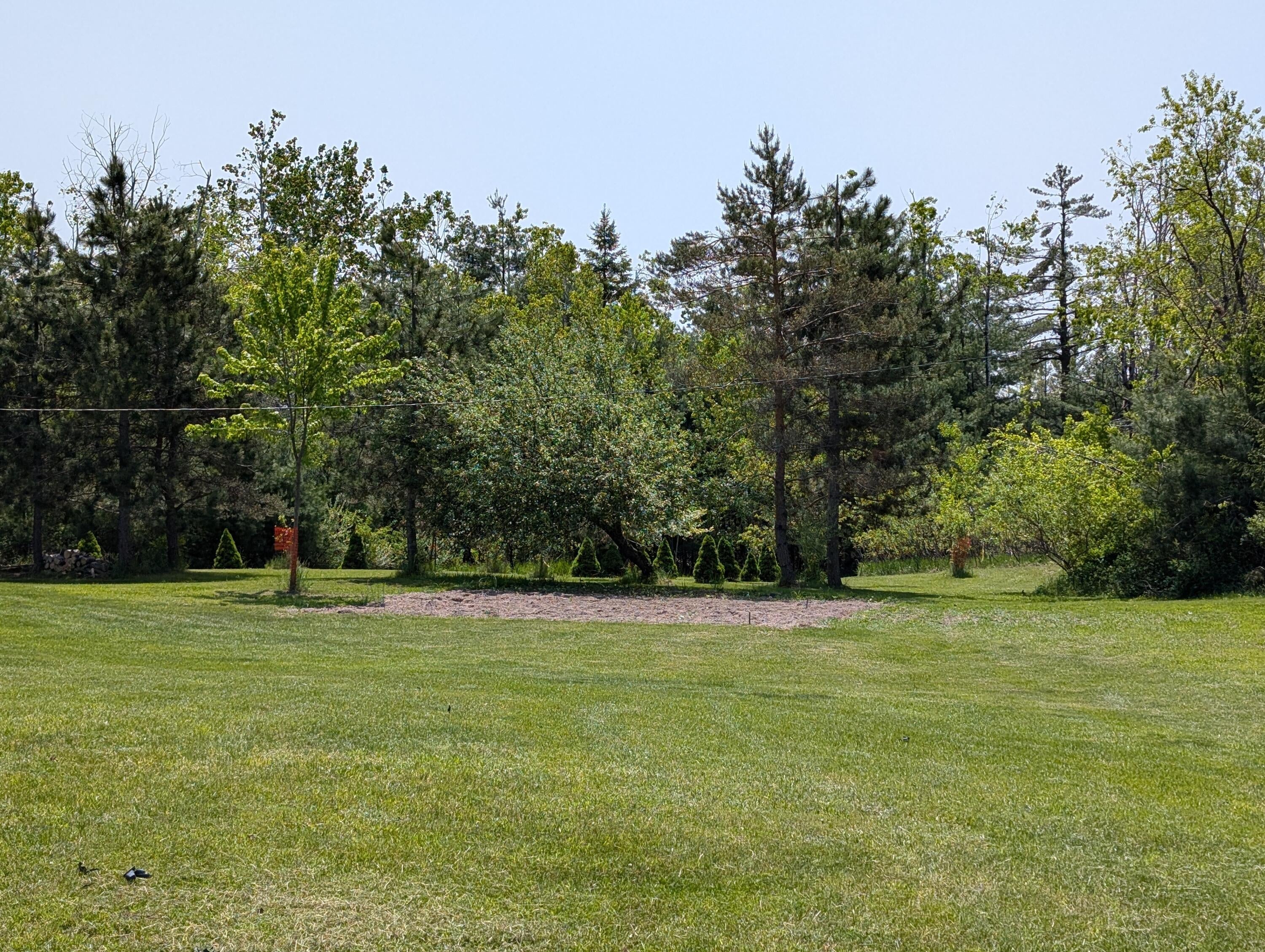 11179 Hossler Road Atlanta, MI 49709 - Photo 58 of 100 PXL_20250601_171529317