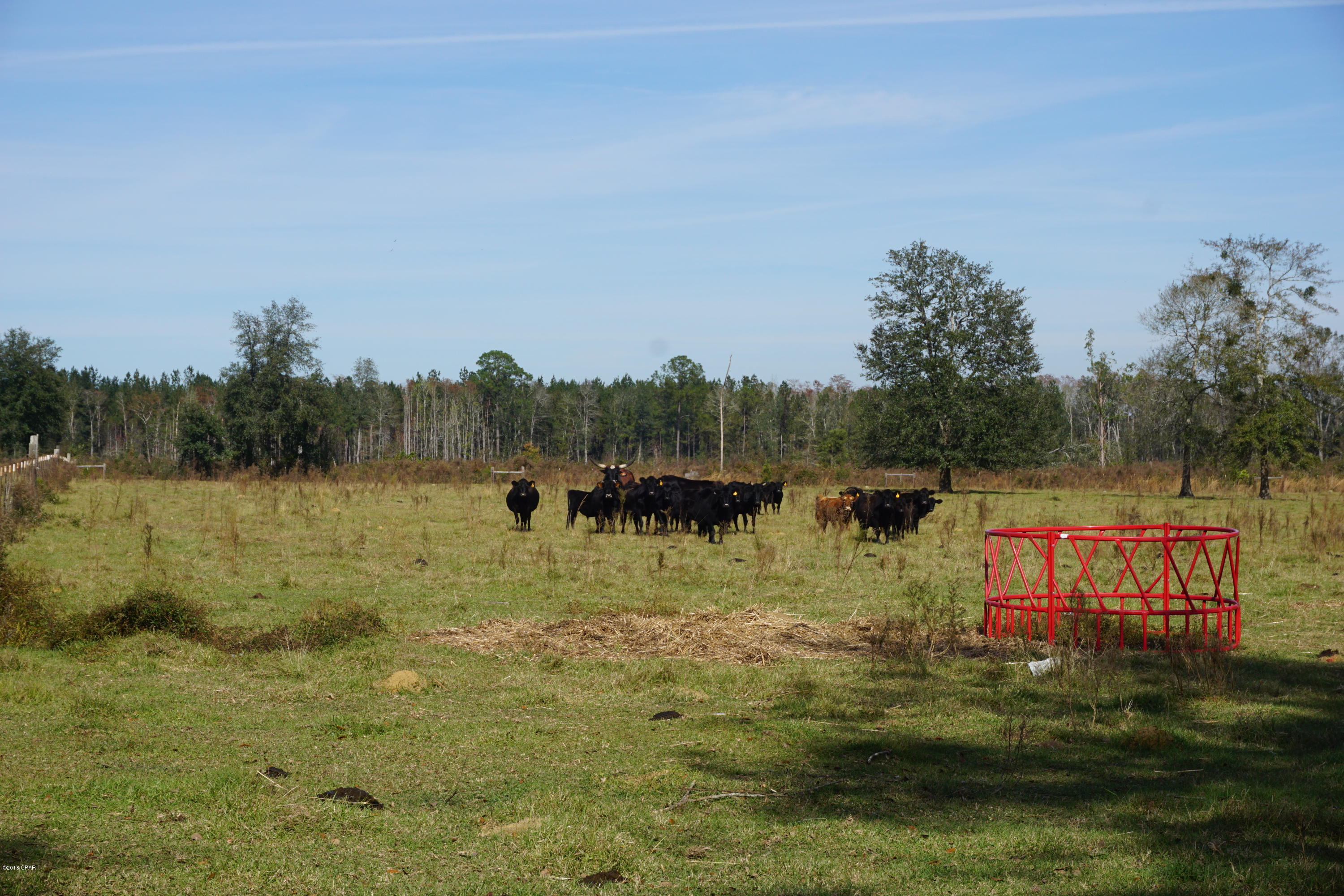 4684 Cliff Road Graceville, FL 32440 - Photo 74 of 75