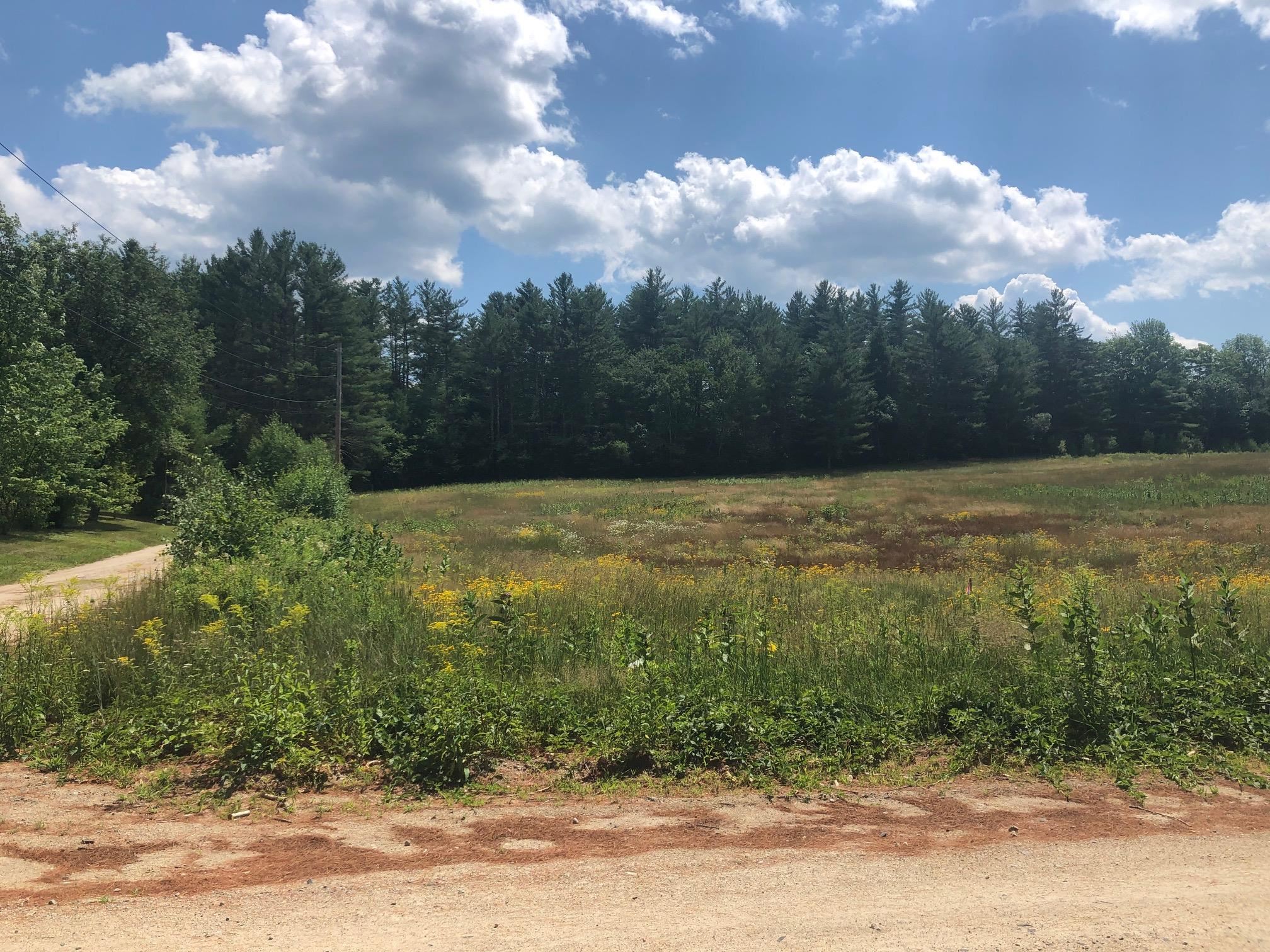 Blake Mountain Road, Unit D Thornton, NH 03285 - Photo 1 of 4