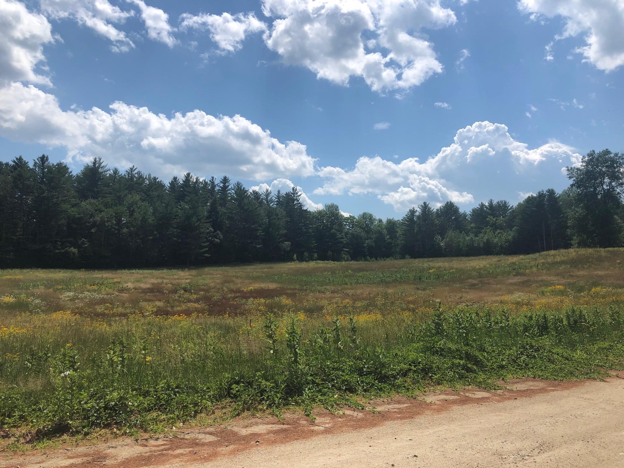 Blake Mountain Road, Unit D Thornton, NH 03285 - Photo 2 of 4