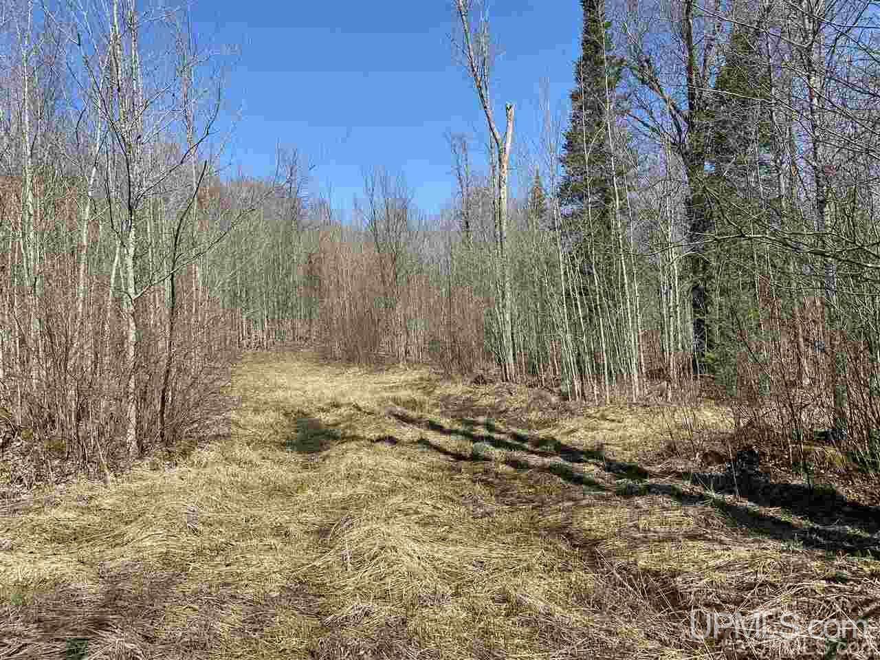 Off Nelson Road Glidden, WI 54527 - Photo 1 of 23