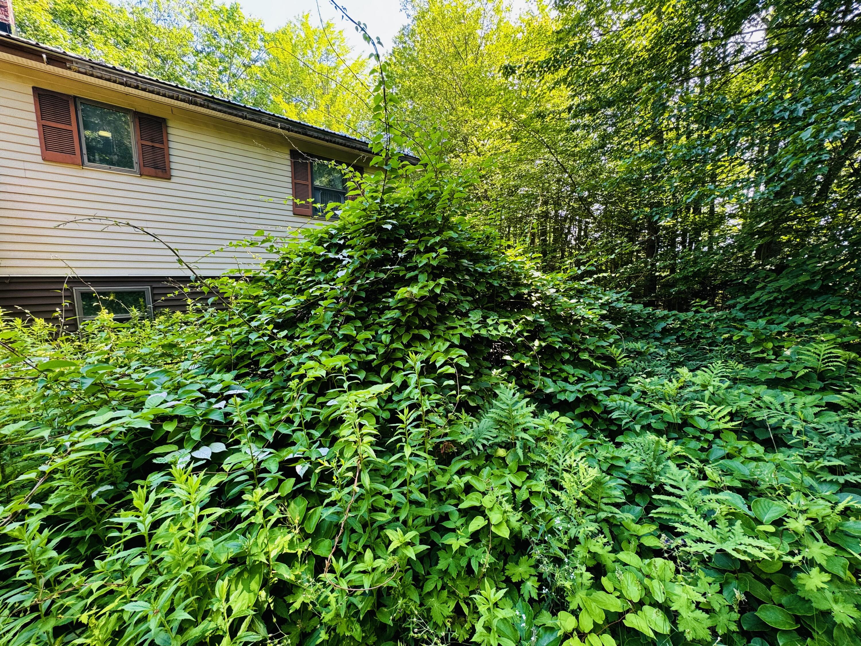 110 Littlefield Road Newburgh, ME 04444 - Photo 29 of 59 IMG_6067