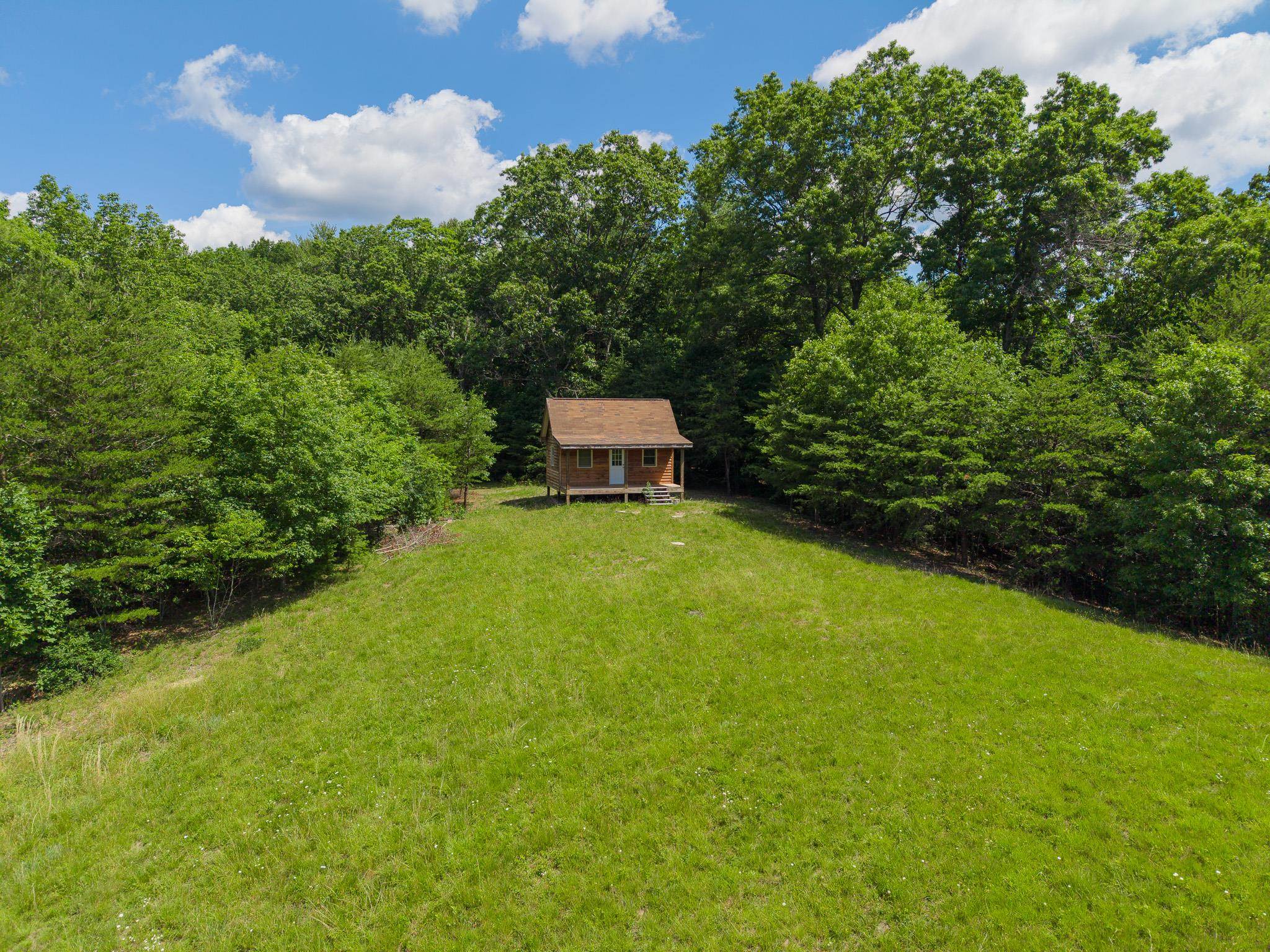 Tbd Locust Hill Road Max Meadows, VA 24360 - Photo 3 of 15 Gallery Image 3