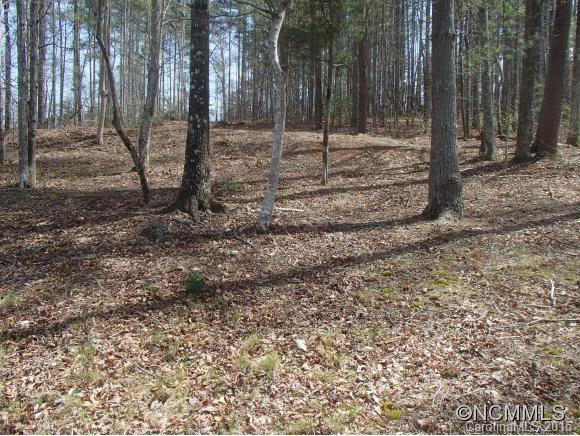 3 Hawk Ridge Drive Mill Spring, NC 28756 - Photo 2 of 6 a backyard of a house