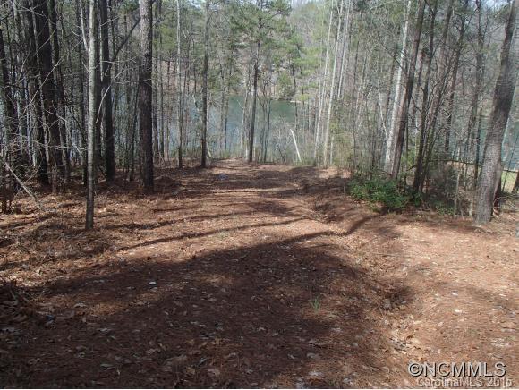 3 Hawk Ridge Drive Mill Spring, NC 28756 - Photo 6 of 6 a backyard of a house with lots of green space