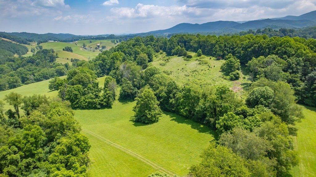 69.65-ac Widener Valley Road Glade Spring, VA 24340 - Photo 16 of 19 Gallery Image 16