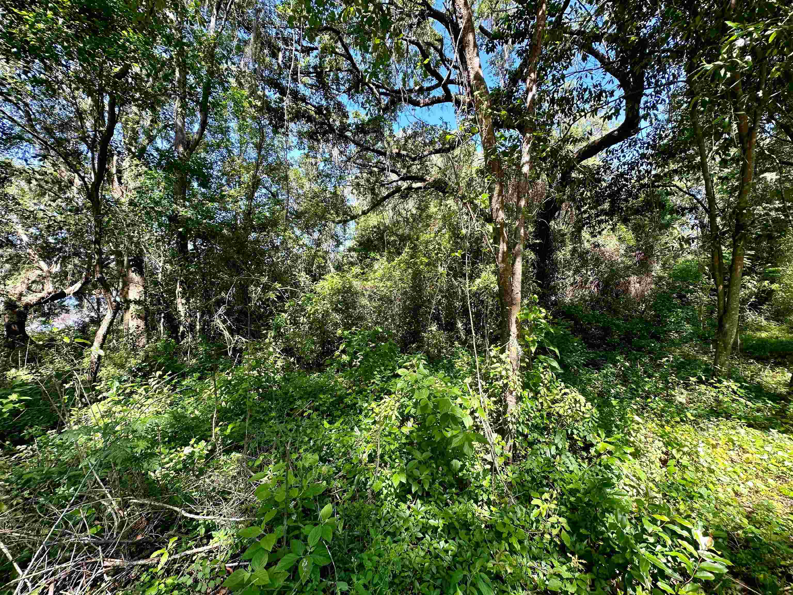 0 Northeast Rocky Frd Rd