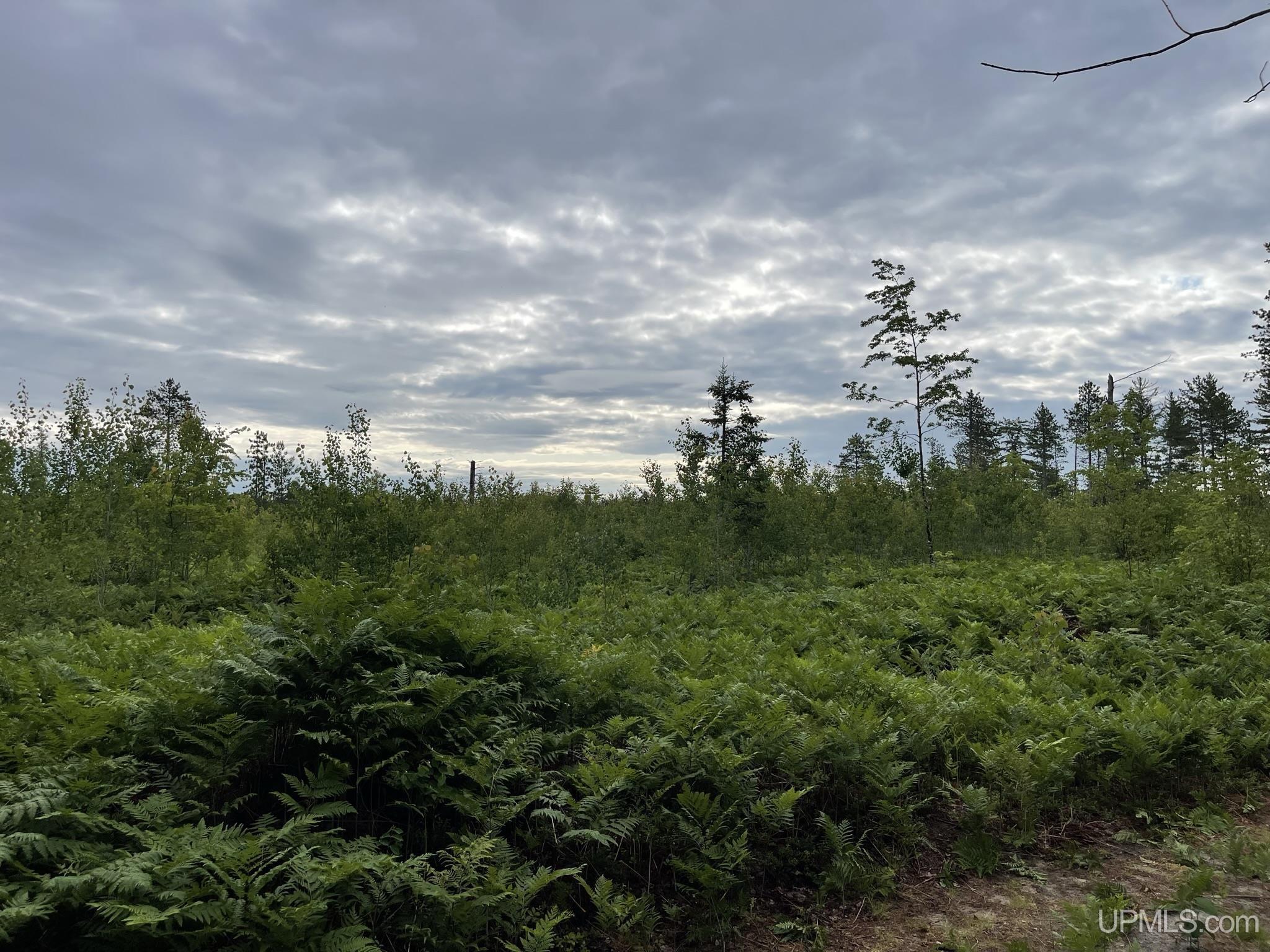 Tbd Tbd Hay Meadow Road Manistique, MI 49854 - Photo 9 of 51