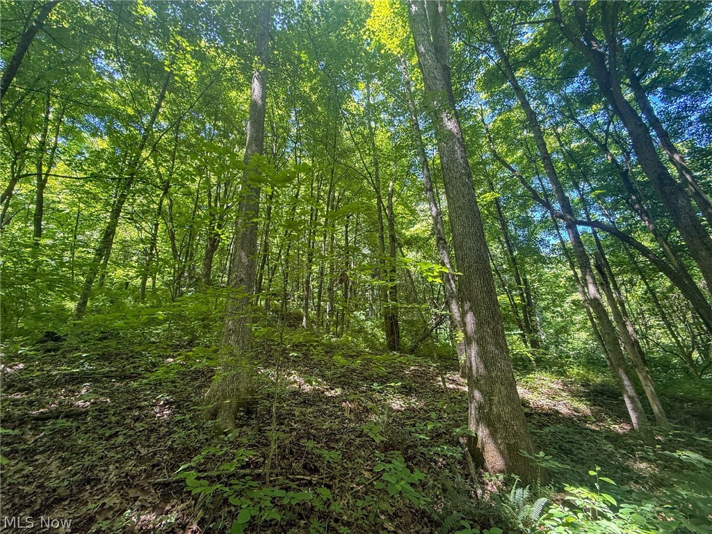 Keffer Road Stockport, OH 43787 - Photo 10 of 25