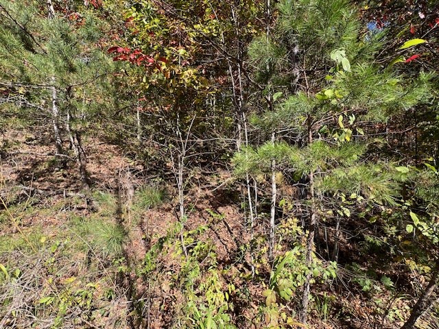 Tbd Upper Peachtree Road Murphy, NC 28906 - Photo 10 of 17