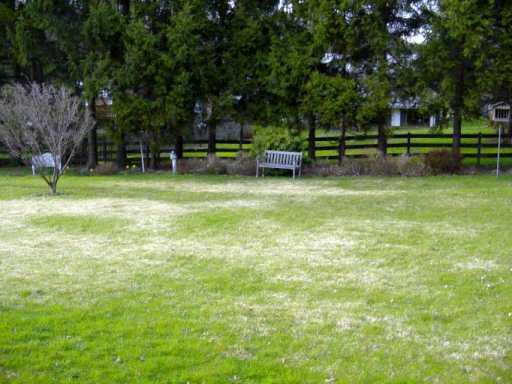 135 Sycamore Ridge Drive Springdale, PA 15144 - Photo 5 of 5 Yard/Garden.