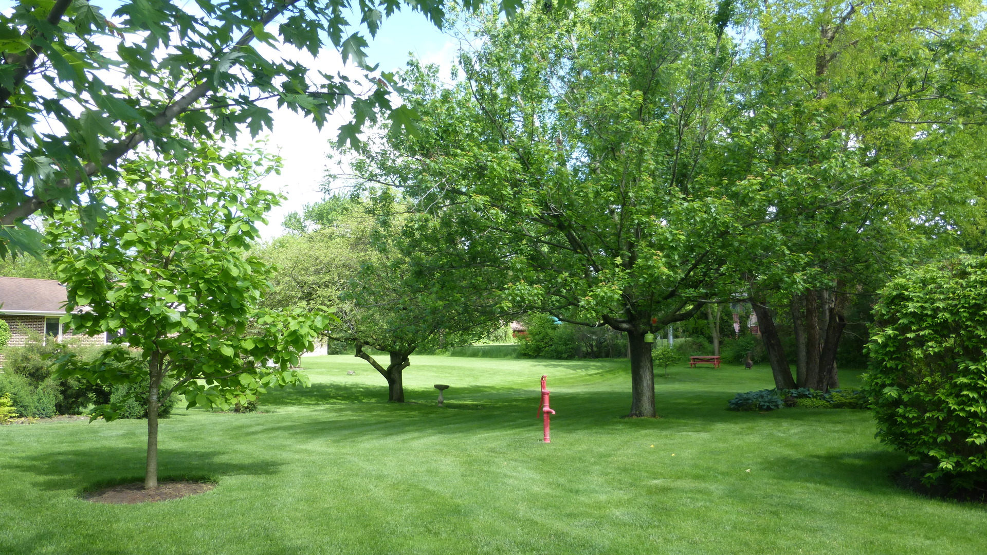 100 Ela Road Inverness, IL 60067 - Photo 22 of 25 a green field with lots of trees