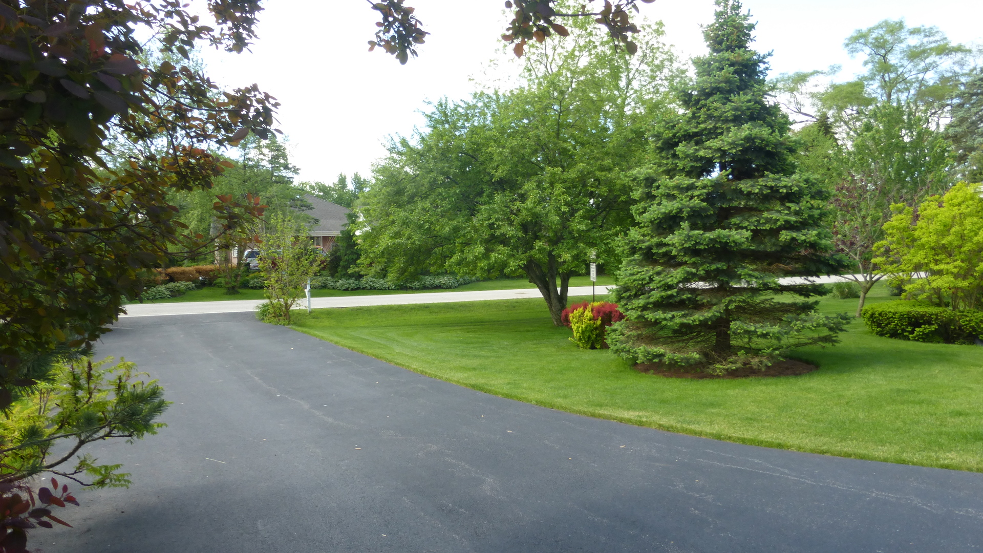 100 Ela Road Inverness, IL 60067 - Photo 23 of 25 a view of a park with large trees