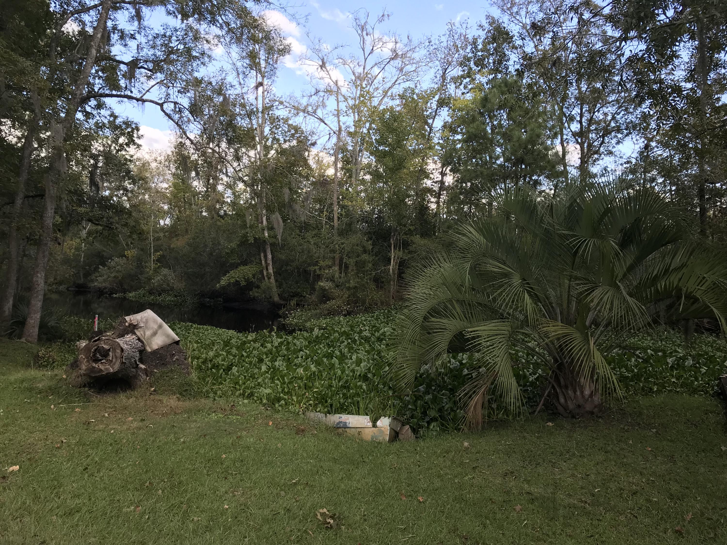 10 Crumley Road Walterboro, SC 29488 - Photo 11 of 30 2017-11-01 15.41.28 HDR