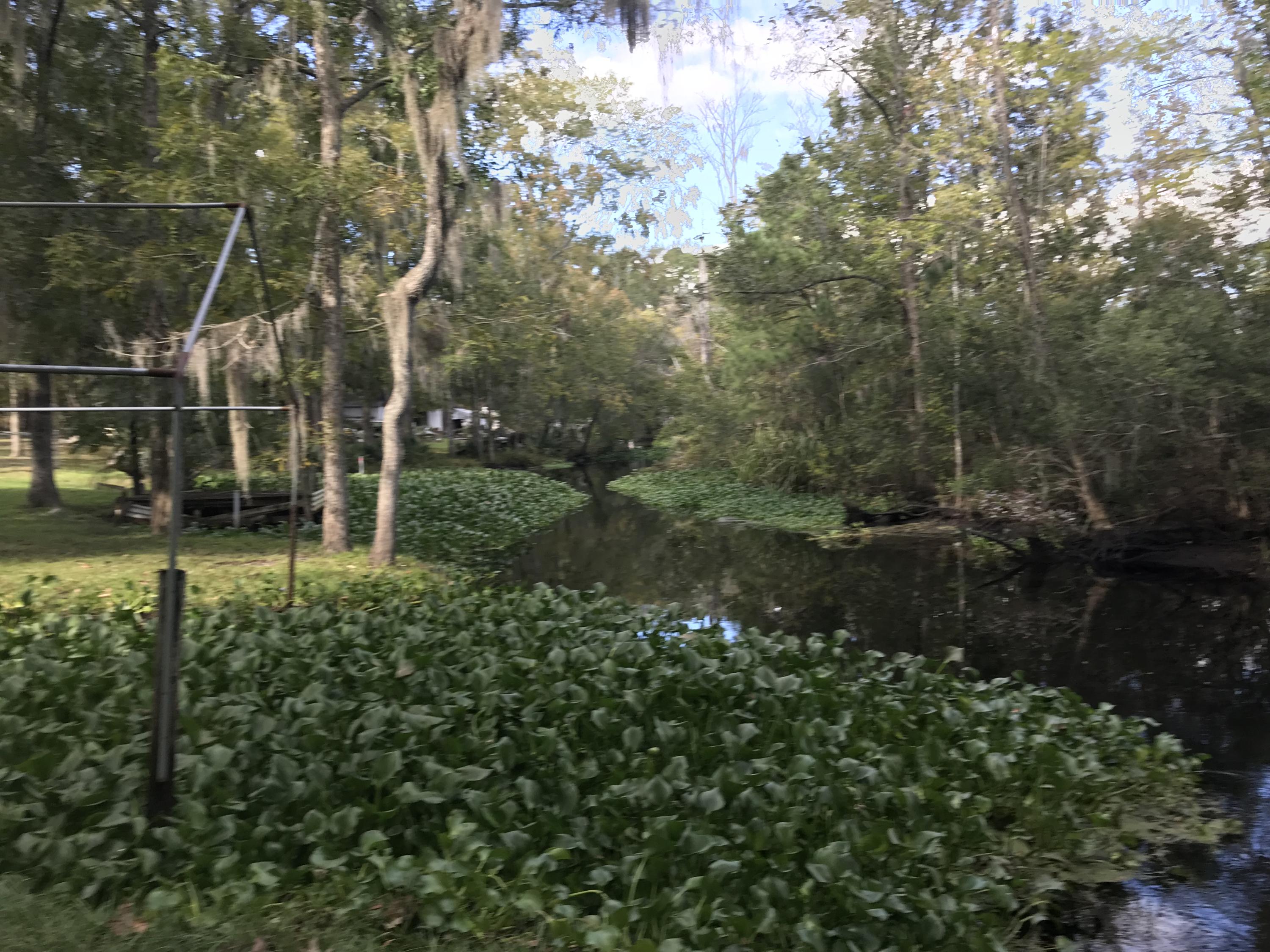 10 Crumley Road Walterboro, SC 29488 - Photo 9 of 30 2017-11-01 15.42.23 HDR