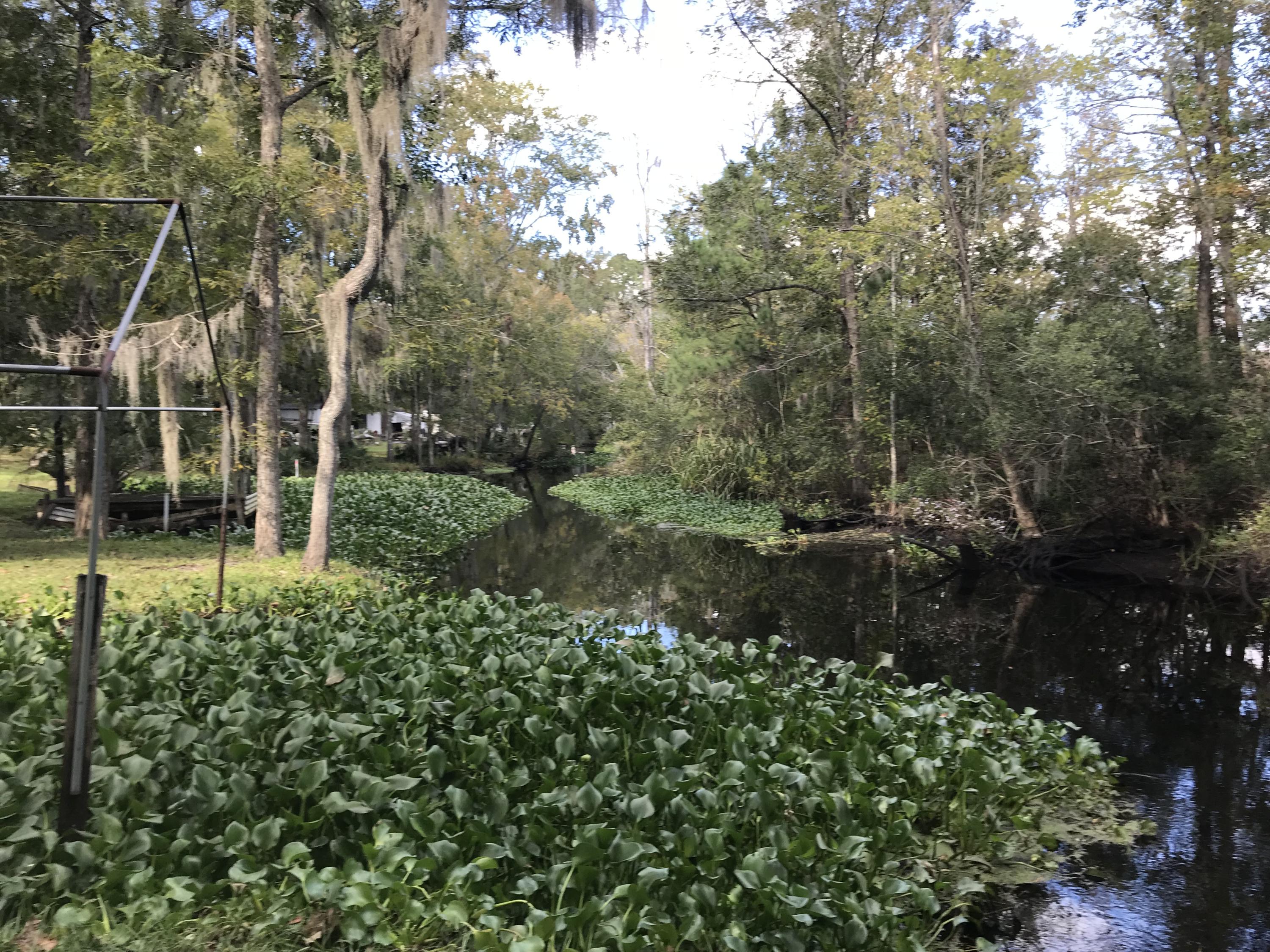 10 Crumley Road Walterboro, SC 29488 - Photo 10 of 30 2017-11-01 15.42.22-1