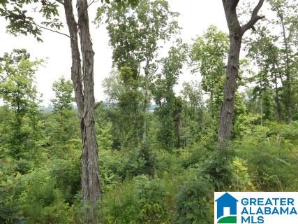0 Beaver Ridge Drive, Unit 42 48 Ashville, AL 35953 - Photo 24 of 26