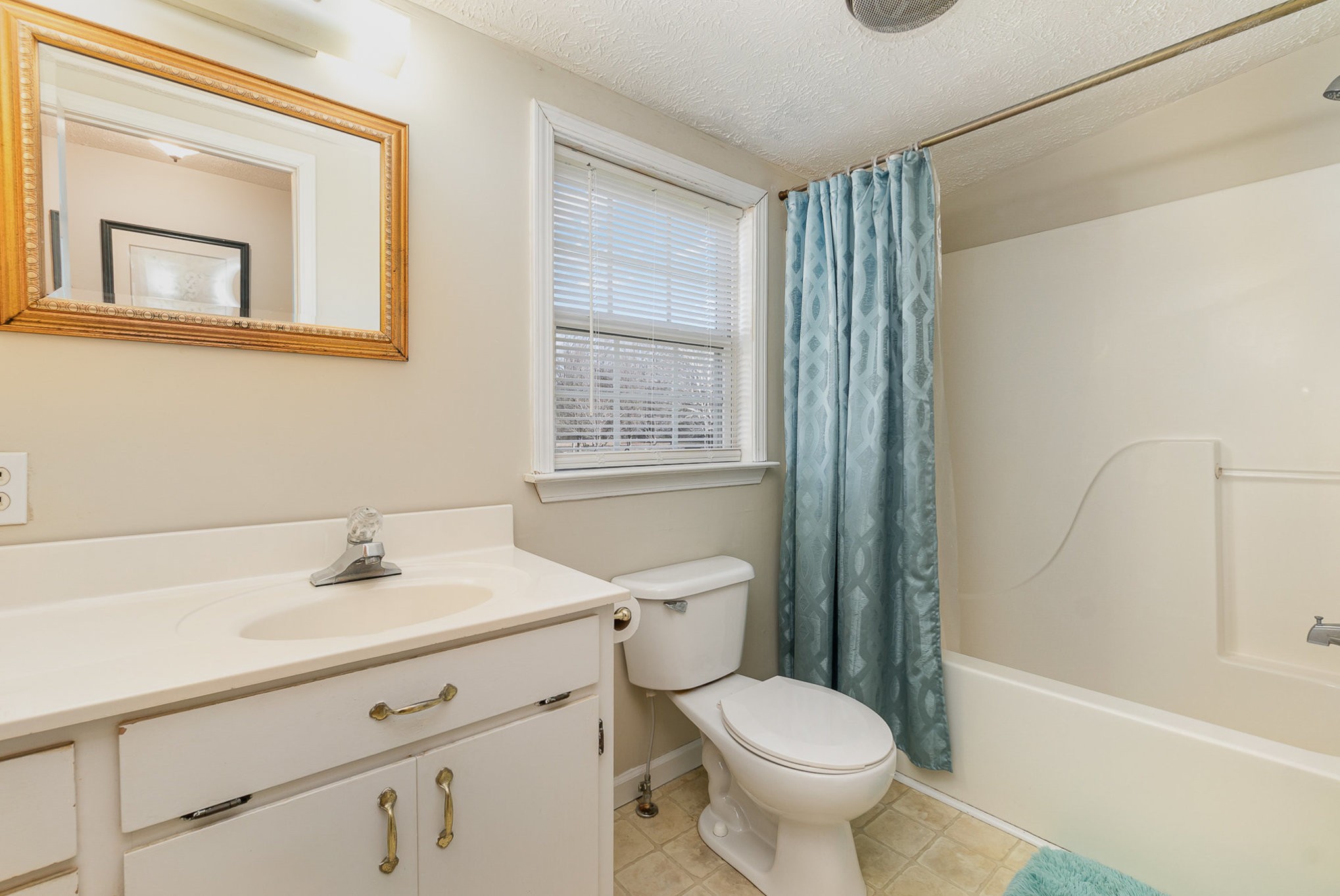 320 Holly Grove Road Lewisburg, TN 37091 - Photo 14 of 21 Gallery Image 14