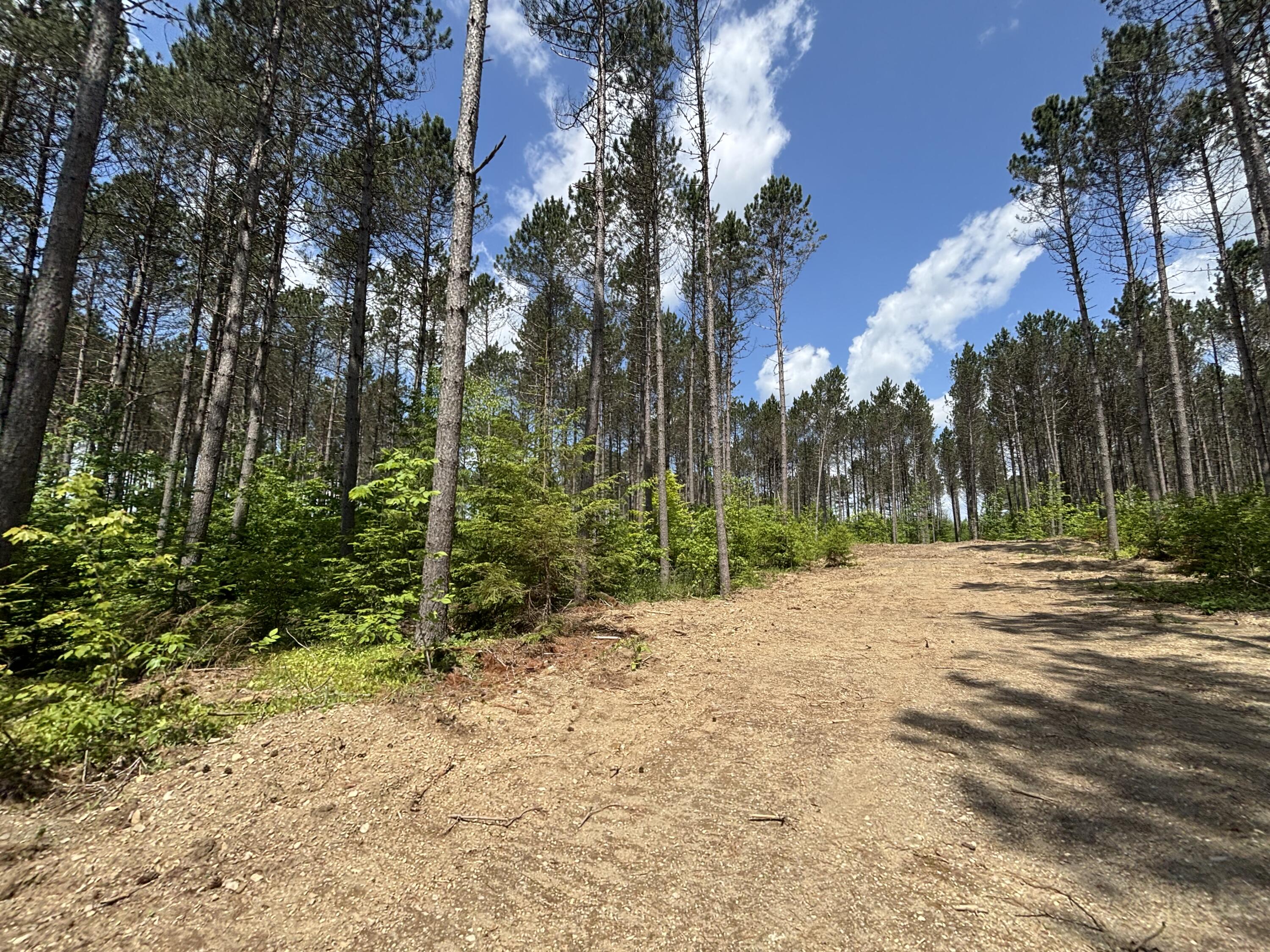 Lot H Mcdonald Road Houlton, ME 04730 - Photo 2 of 6 MLS2