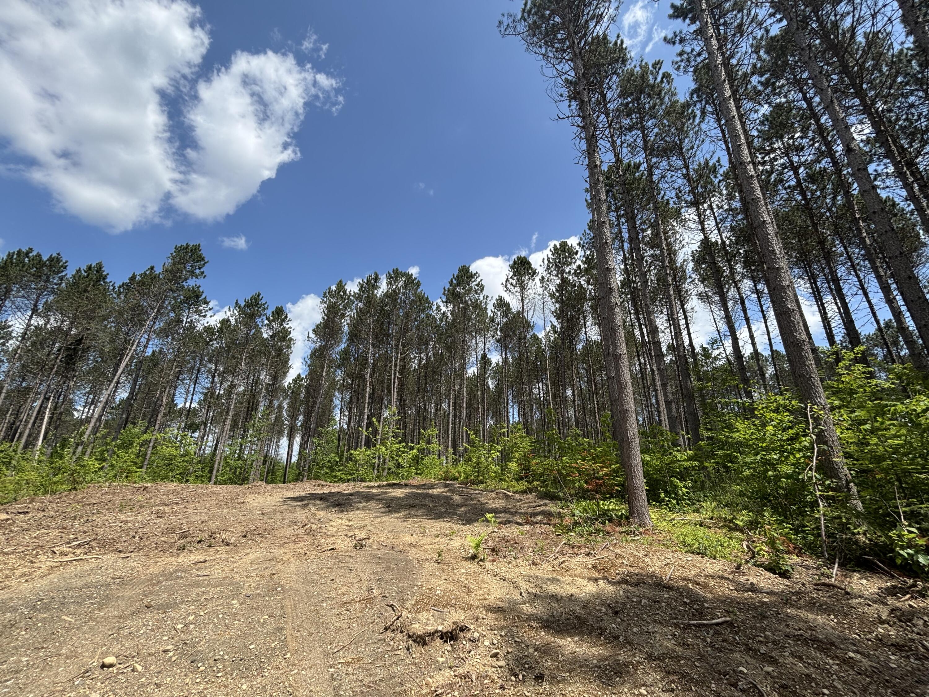 Lot H Mcdonald Road Houlton, ME 04730 - Photo 3 of 6 MLS3