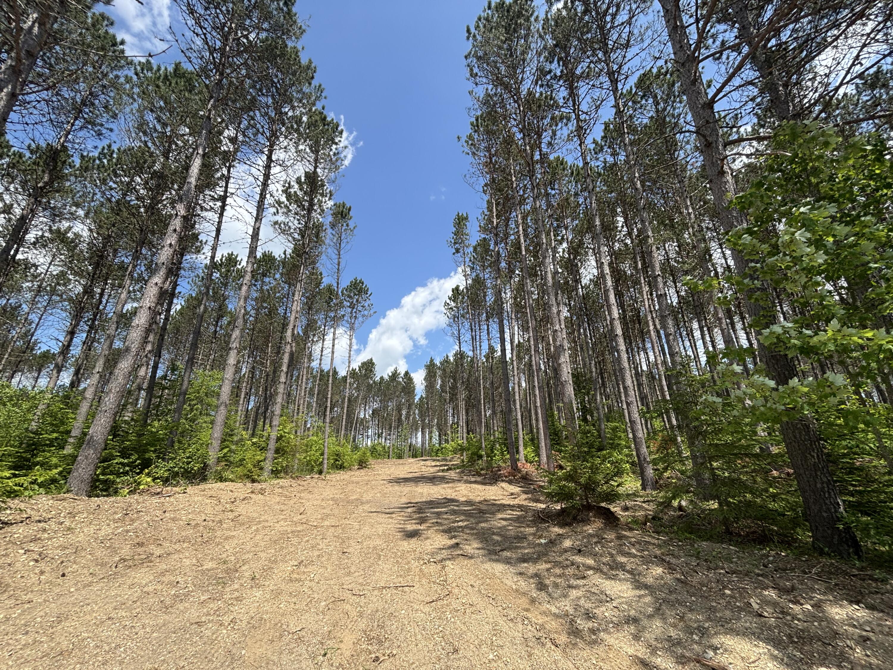 Lot H Mcdonald Road Houlton, ME 04730 - Photo 4 of 6 MLS4