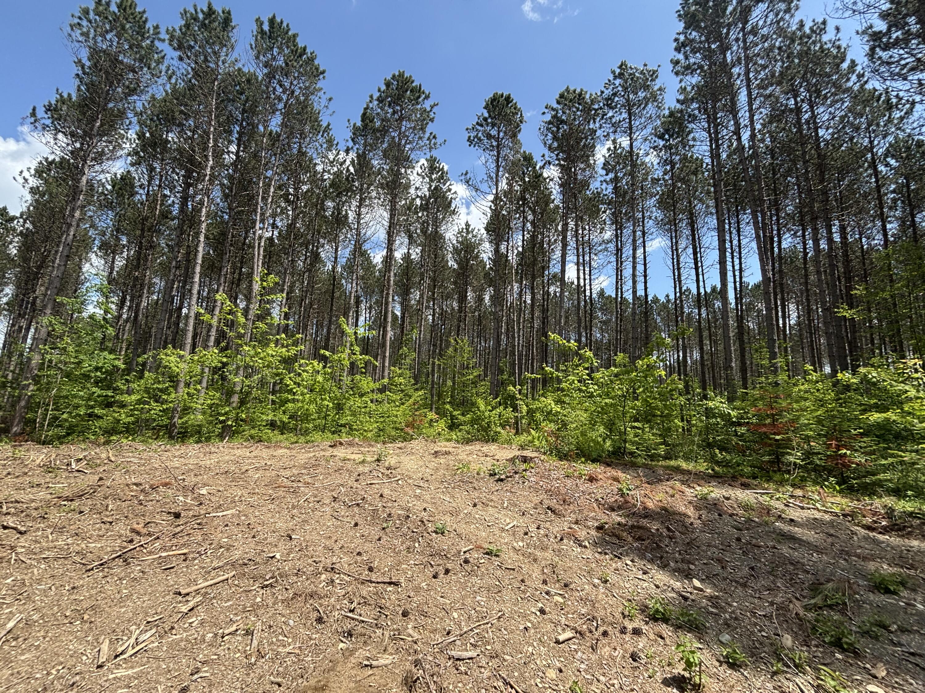 Lot H Mcdonald Road Houlton, ME 04730 - Photo 6 of 6 MLS6