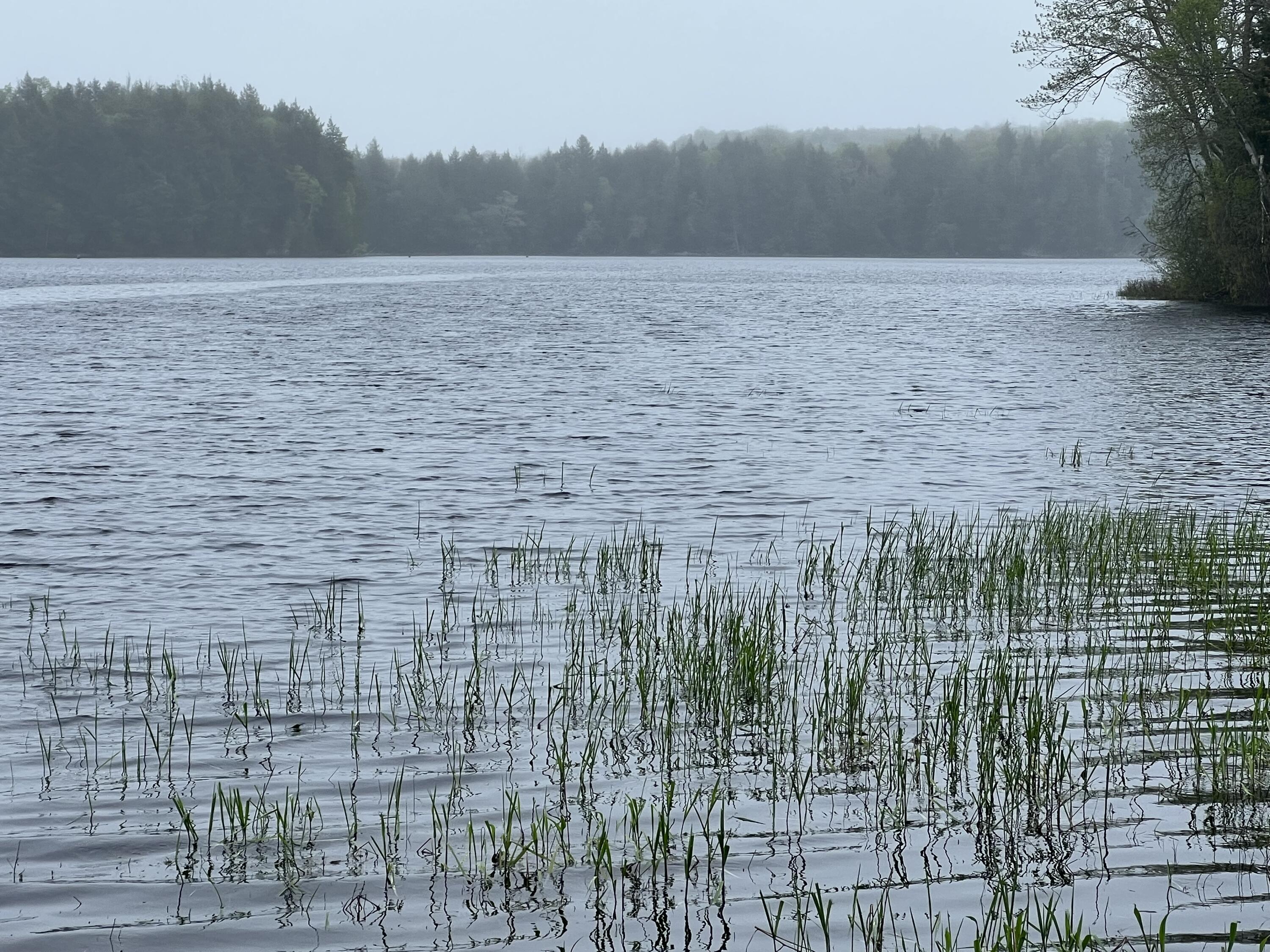 2 Union River Road Ellsworth, ME 04605 - Photo 58 of 59 59