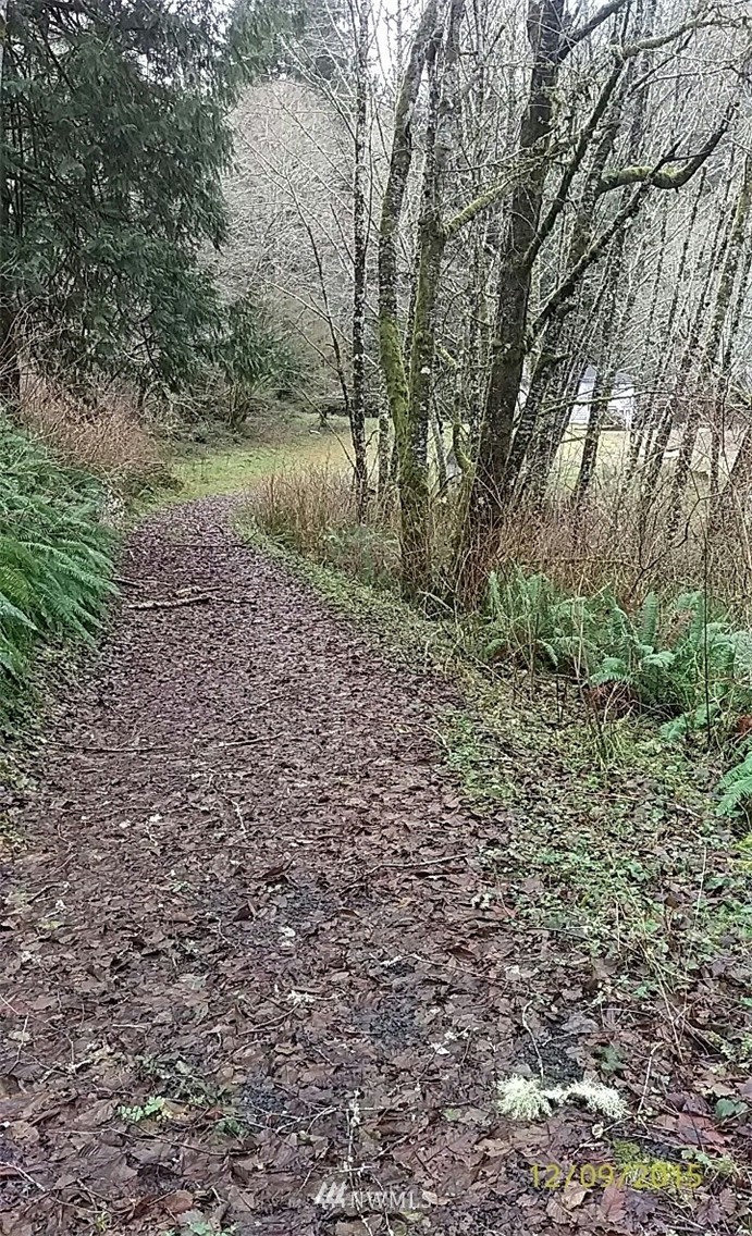 105 Minkler Road Montesano, WA 98563 - Photo 11 of 11 Gallery Image 11
